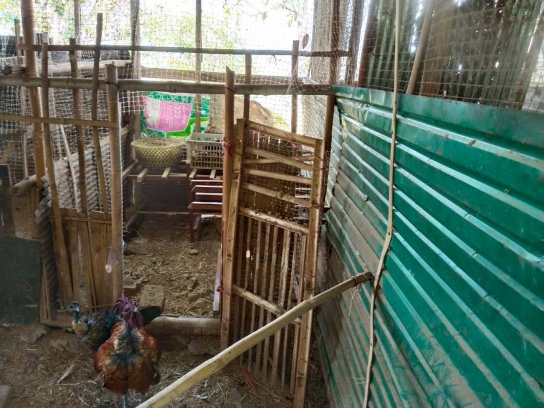 temp_c728b50b47f829632216b6db7c4e96552_5236472929397086102_229814653297852_0