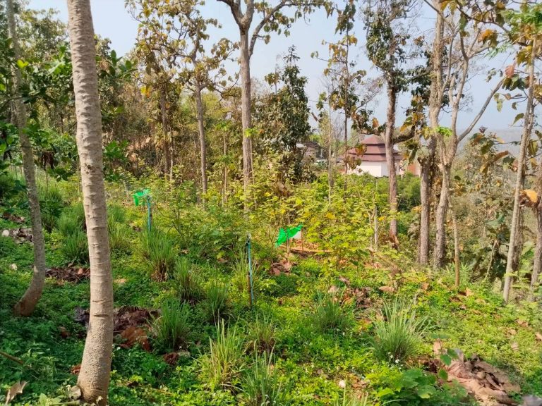 temp_c728b50b47f829632216b6db7c4e96552_5236472929397086102_229814653483737_0