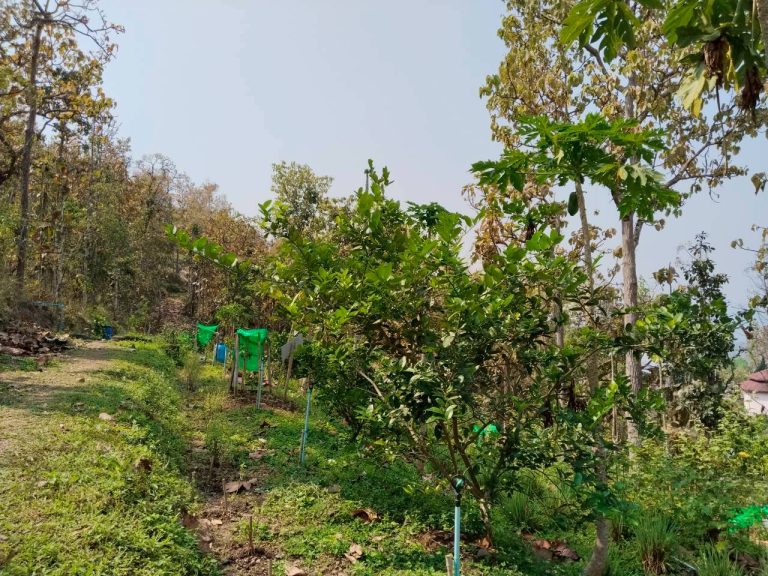 temp_c728b50b47f829632216b6db7c4e96552_5236472929397086102_229814653706654_0