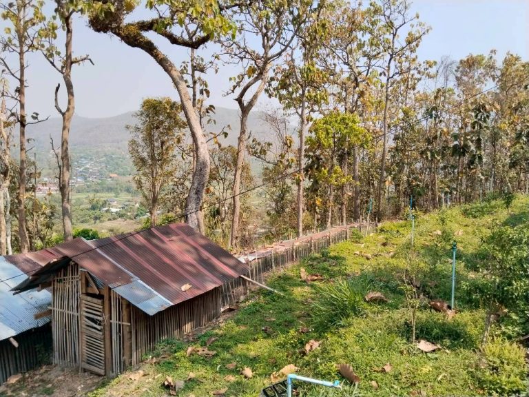 temp_c728b50b47f829632216b6db7c4e96552_5236472929397086102_229814653967123_0