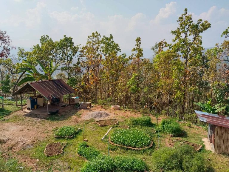 temp_c728b50b47f829632216b6db7c4e96552_5236472929397086102_31150403221293_0