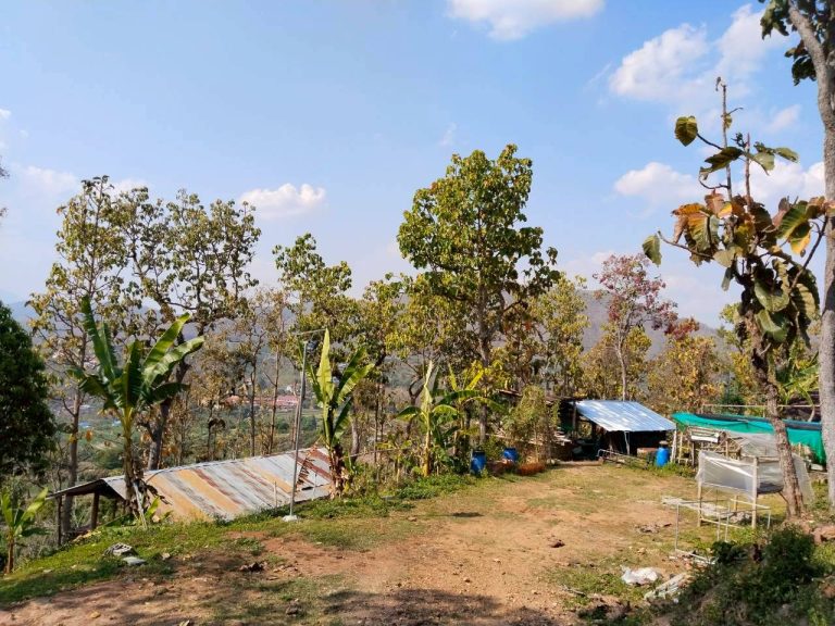 temp_c728b50b47f829632216b6db7c4e96552_5236472929397086102_31150403388272_0