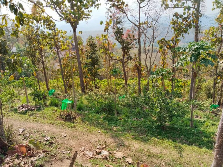 temp_c728b50b47f829632216b6db7c4e96552_5236472929397086102_31150403552282_0