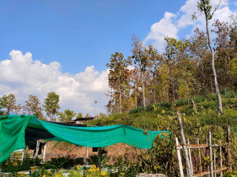 temp_c728b50b47f829632216b6db7c4e96552_5236472929397086102_31150404185668