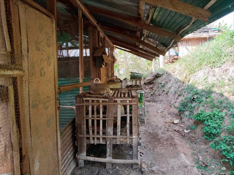 temp_c728b50b47f829632216b6db7c4e96552_5236472929397086102_330024884944468_0