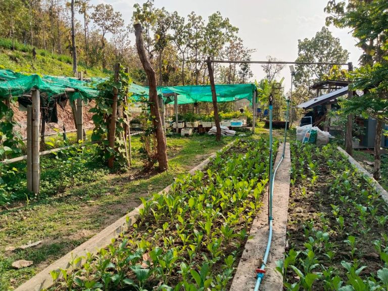 temp_c728b50b47f829632216b6db7c4e96552_5236472929397086102_330024885353687_0