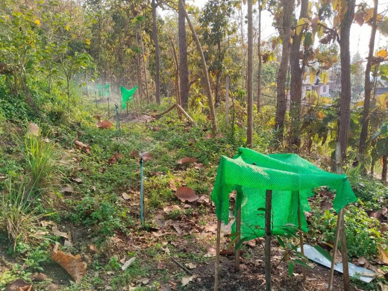 temp_c728b50b47f829632216b6db7c4e96552_5236472929397086102_330024885514104_0