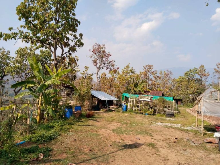 temp_c728b50b47f829632216b6db7c4e96552_5236472929397086102_330024885663791_0