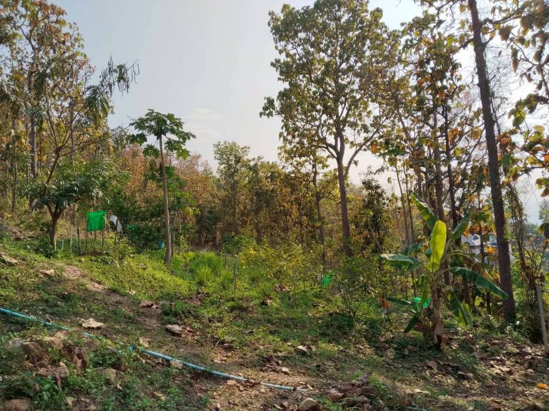 temp_c728b50b47f829632216b6db7c4e96552_5236472929397086102_330024885803635_0