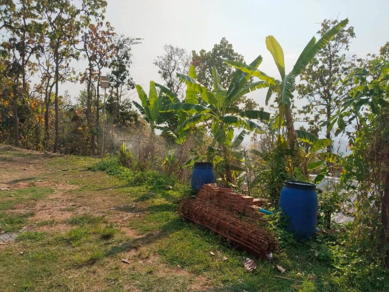 temp_c728b50b47f829632216b6db7c4e96552_5236472929397086102_330024886069104_0