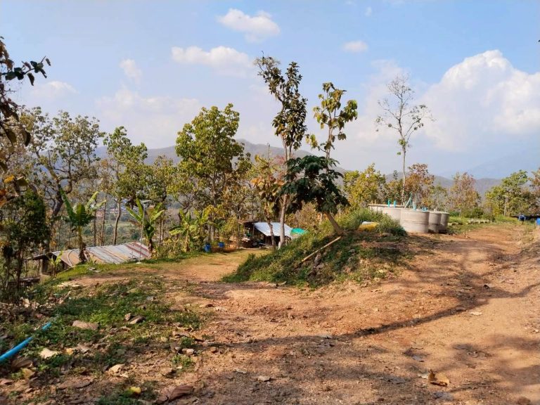 temp_c728b50b47f829632216b6db7c4e96552_5236472929397086102_387457747300528_0