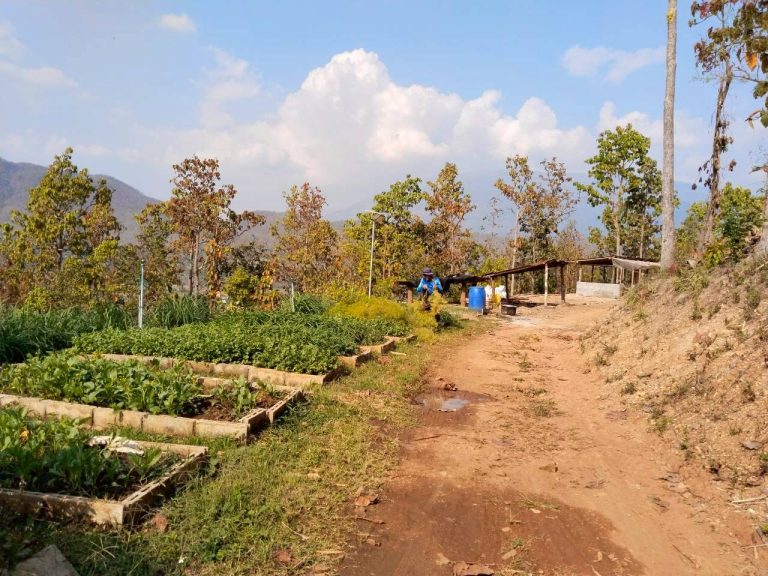 temp_c728b50b47f829632216b6db7c4e96552_5236472929397086102_387457747604226_0