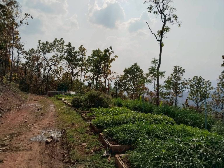 temp_c728b50b47f829632216b6db7c4e96552_5236472929397086102_387457748661674_0