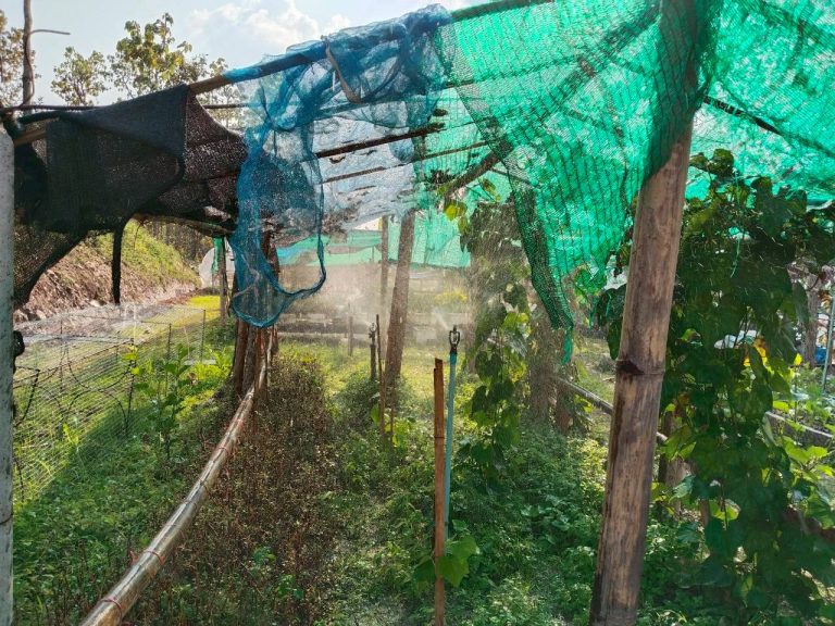 temp_c728b50b47f829632216b6db7c4e96552_5236472929397086102_387457749297924_0