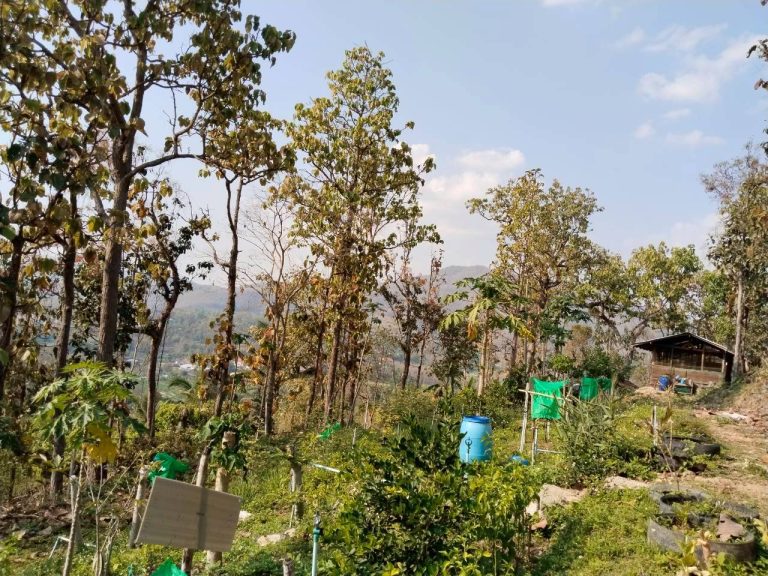 temp_c728b50b47f829632216b6db7c4e96552_5236472929397086102_387457749537611_0