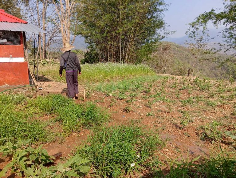 LINE_ALBUM_พื้นที่แคมป์วิวอัลบั้ม 2_260401_1