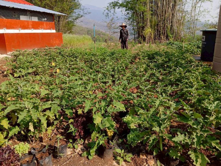 LINE_ALBUM_พื้นที่แคมป์วิวอัลบั้ม 2_260401_10