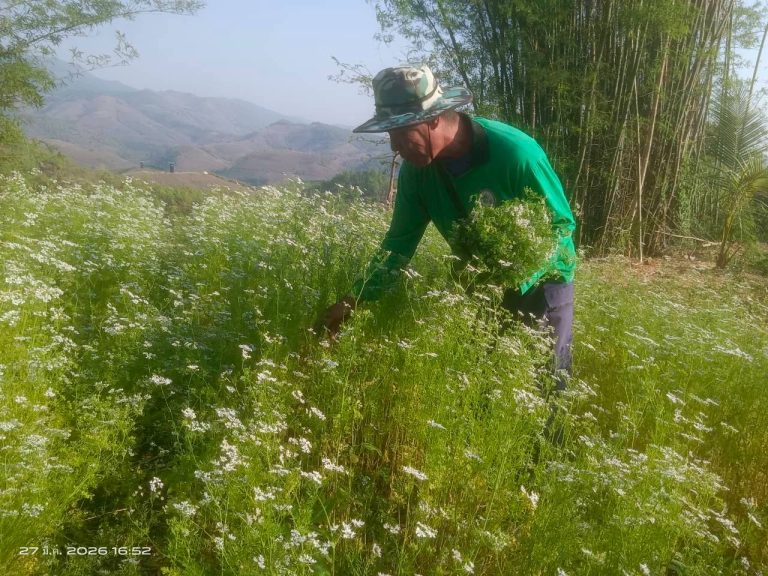 LINE_ALBUM_พื้นที่แคมป์วิวอัลบั้ม 2_260401_10