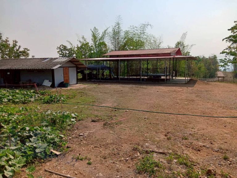 LINE_ALBUM_พื้นที่แคมป์วิวอัลบั้ม 2_260401_11