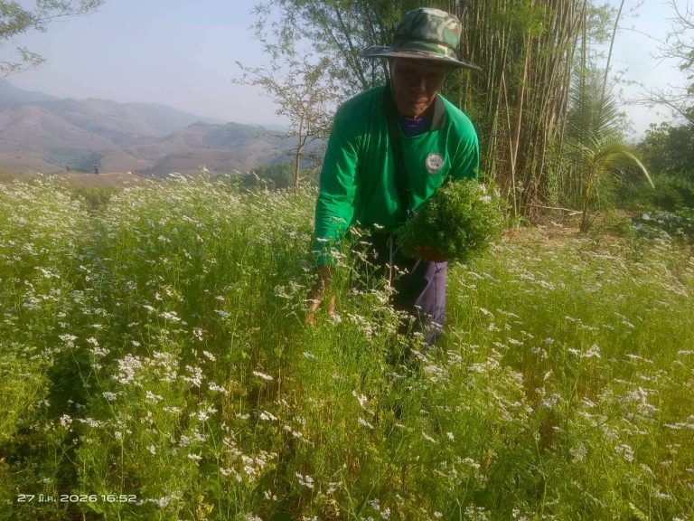 LINE_ALBUM_พื้นที่แคมป์วิวอัลบั้ม 2_260401_11