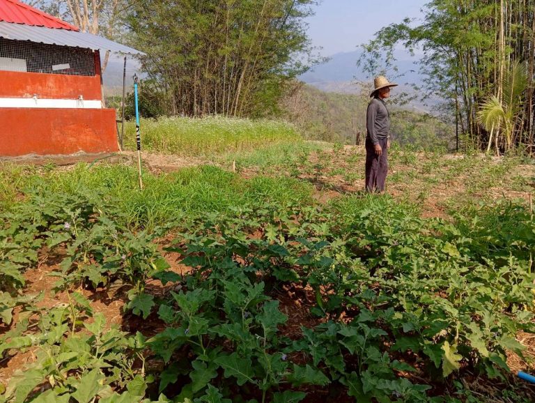 LINE_ALBUM_พื้นที่แคมป์วิวอัลบั้ม 2_260401_2