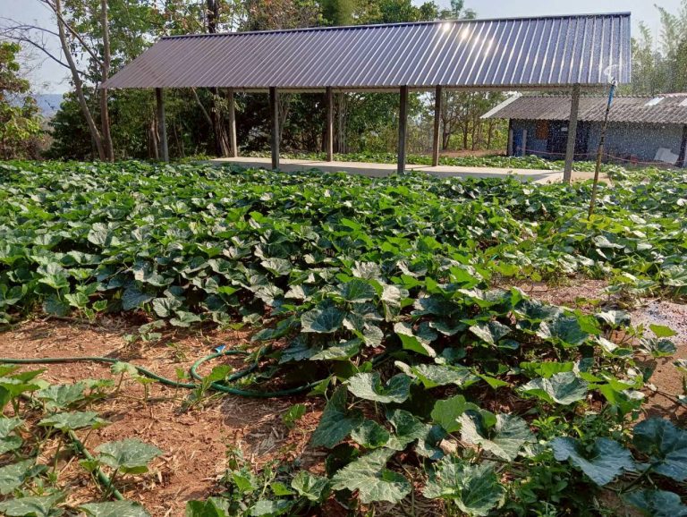 LINE_ALBUM_พื้นที่แคมป์วิวอัลบั้ม 2_260401_3