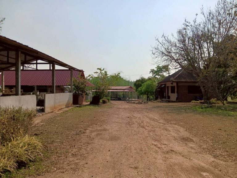 LINE_ALBUM_พื้นที่แคมป์วิวอัลบั้ม 2_260401_5