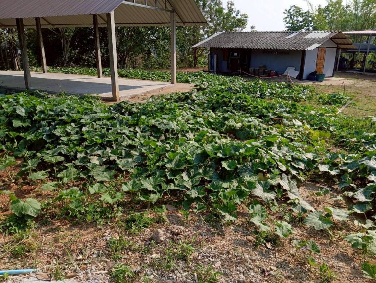 LINE_ALBUM_พื้นที่แคมป์วิวอัลบั้ม 2_260401_8