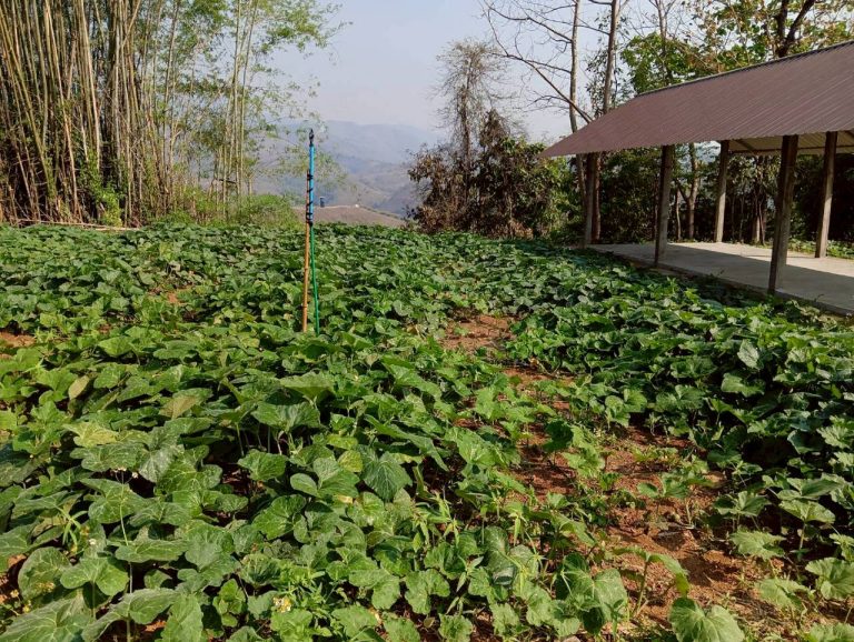 LINE_ALBUM_พื้นที่แคมป์วิวอัลบั้ม 2_260401_9