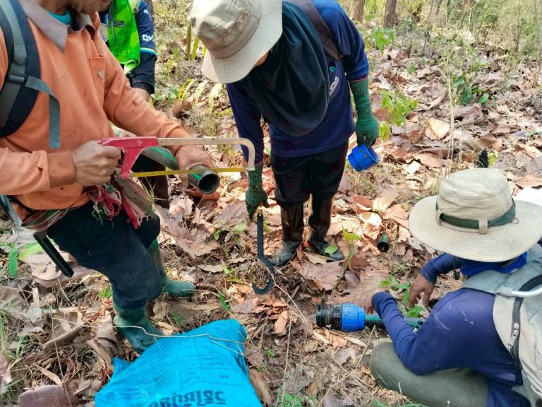 temp_c728b50b47f829632216b6db7c4e96552_5264364304500427141_1096991022432362_0