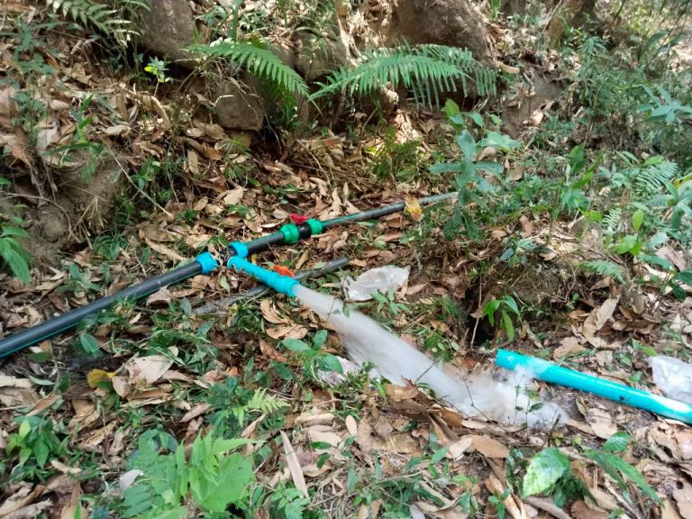 temp_c728b50b47f829632216b6db7c4e96552_5264364304500427141_1096991023171997_0