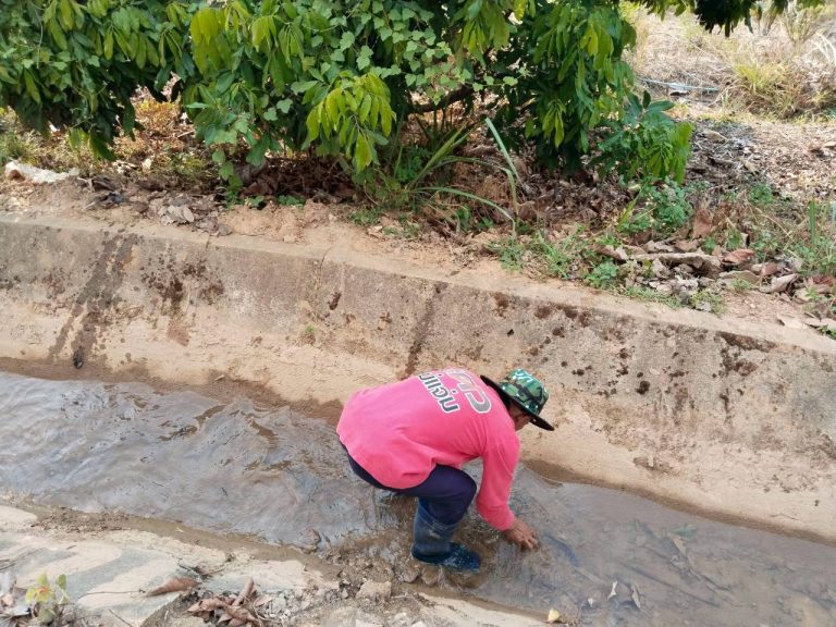 temp_c728b50b47f829632216b6db7c4e96552_5264364304500427141_1511874969646388_0