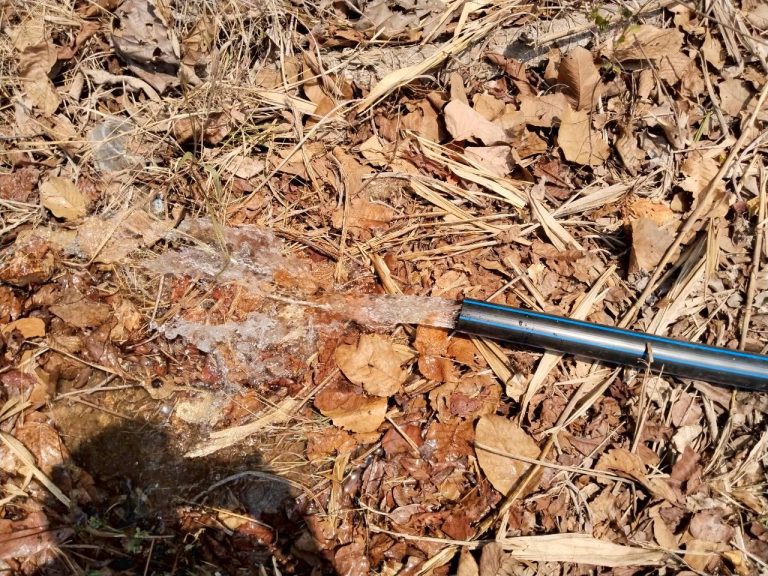 temp_c728b50b47f829632216b6db7c4e96552_5264364304500427141_1511874971695346_0