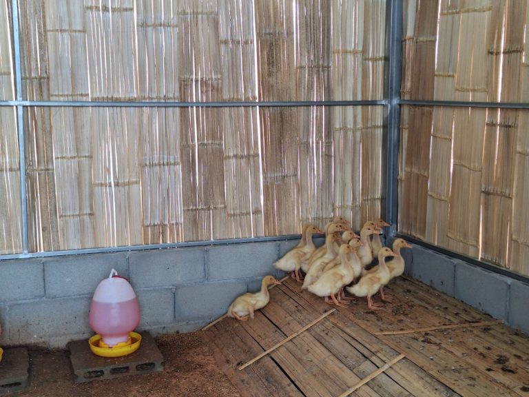 791524_0