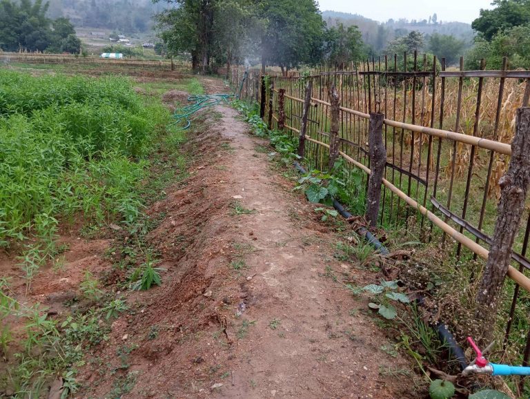 LINE_ALBUM_นาสหการ2_260506_10