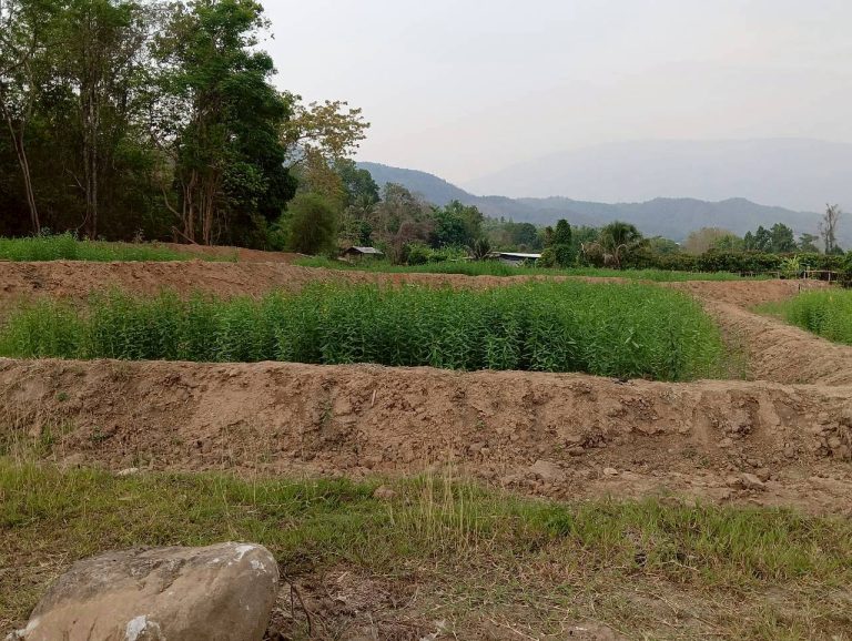 LINE_ALBUM_นาสหการ2_260506_105