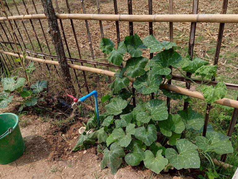 LINE_ALBUM_นาสหการ2_260506_113