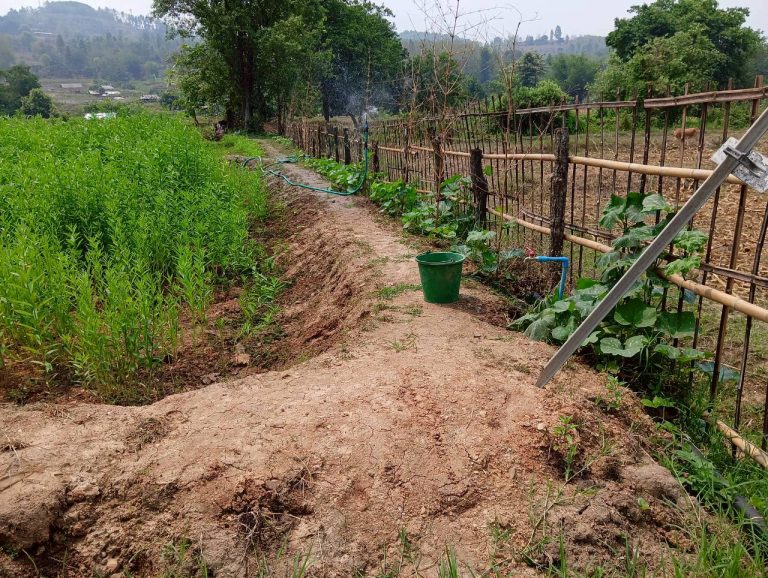 LINE_ALBUM_นาสหการ2_260506_114