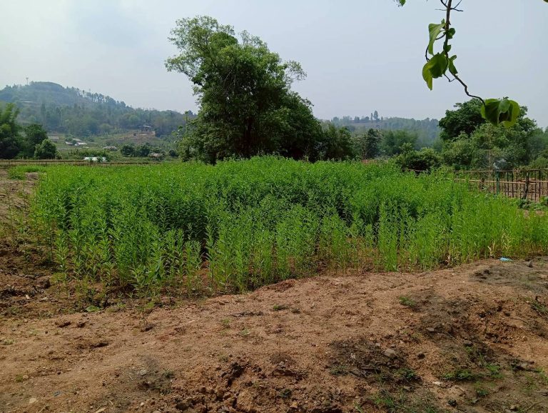LINE_ALBUM_นาสหการ2_260506_116