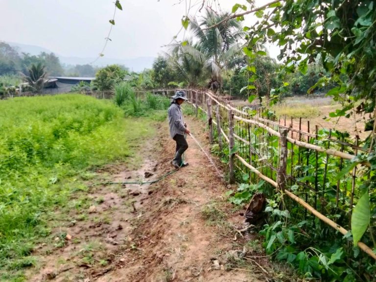 LINE_ALBUM_นาสหการ2_260506_118