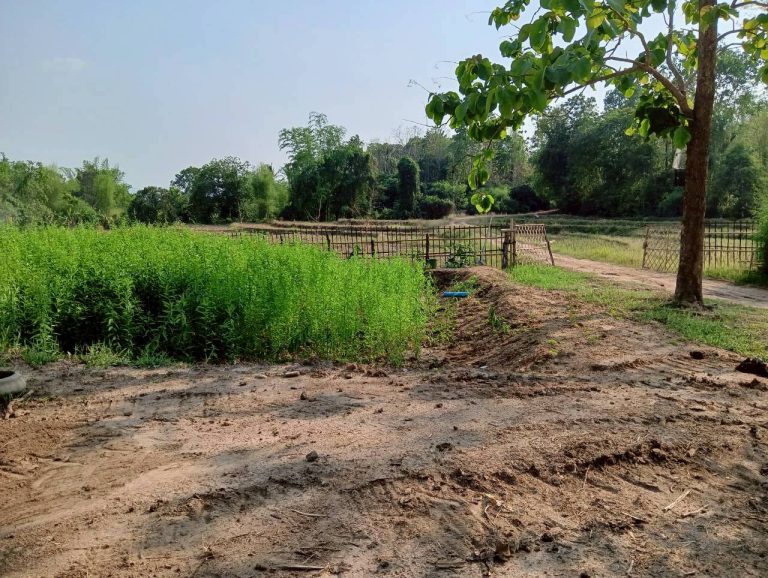 LINE_ALBUM_นาสหการ2_260506_119