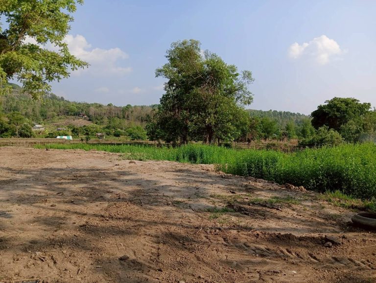LINE_ALBUM_นาสหการ2_260506_120