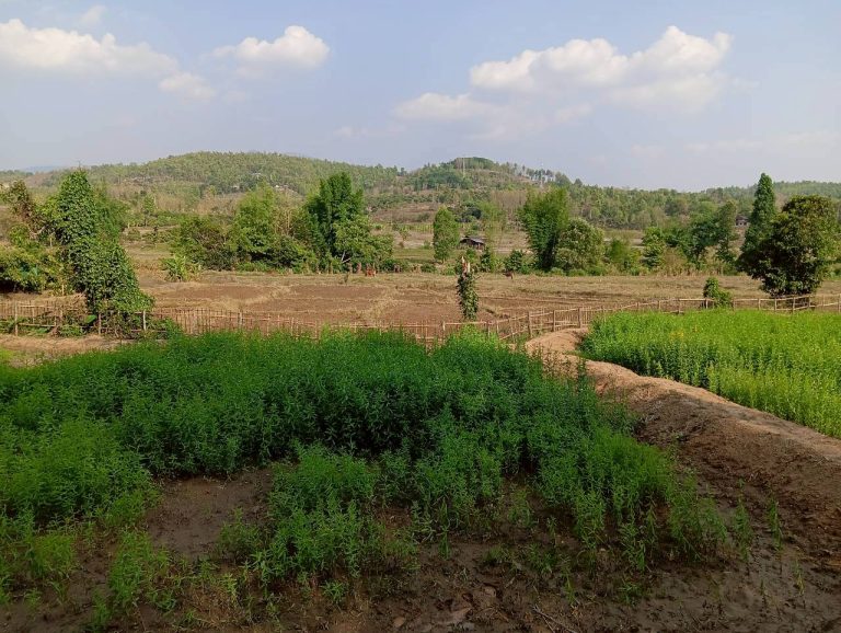LINE_ALBUM_นาสหการ2_260506_121