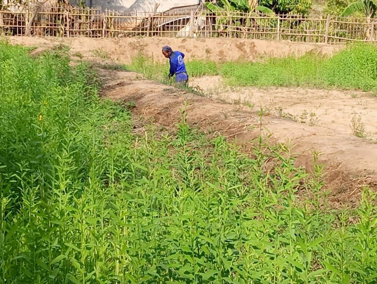 LINE_ALBUM_นาสหการ2_260506_123