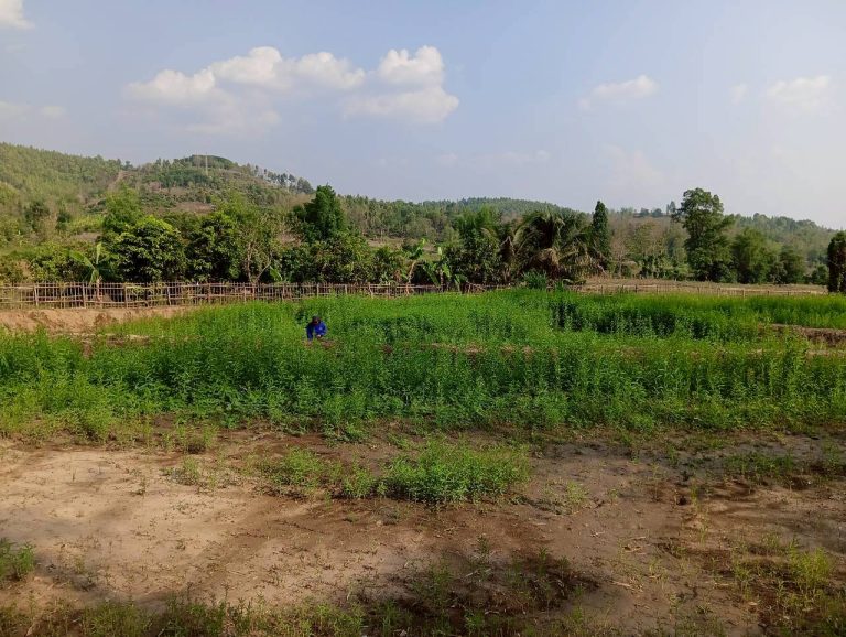 LINE_ALBUM_นาสหการ2_260506_126