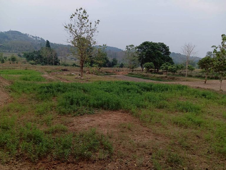 LINE_ALBUM_นาสหการ2_260506_2