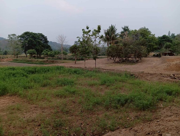 LINE_ALBUM_นาสหการ2_260506_26