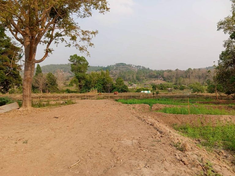 LINE_ALBUM_นาสหการ2_260506_28
