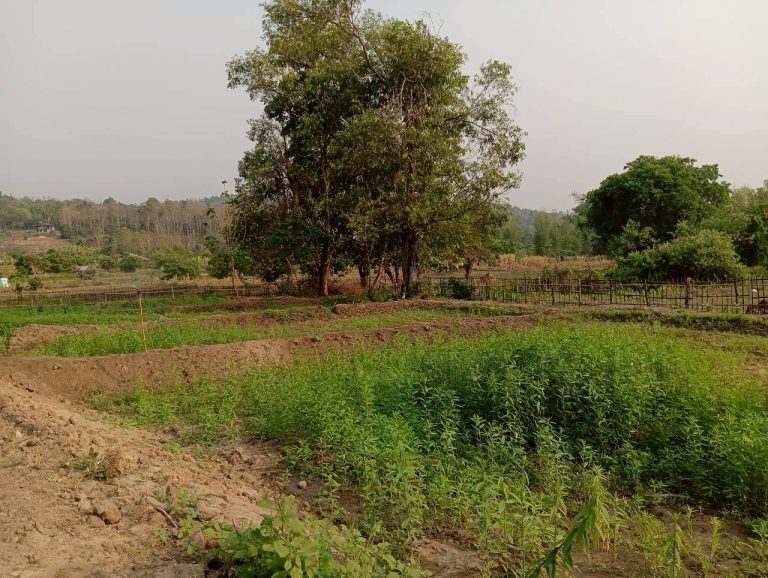 LINE_ALBUM_นาสหการ2_260506_29