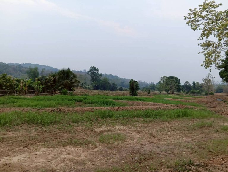 LINE_ALBUM_นาสหการ2_260506_3